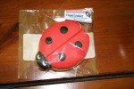 Ladybug!
